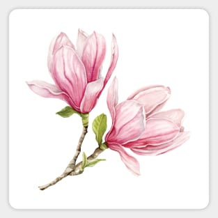 Pink Magnolias Magnet